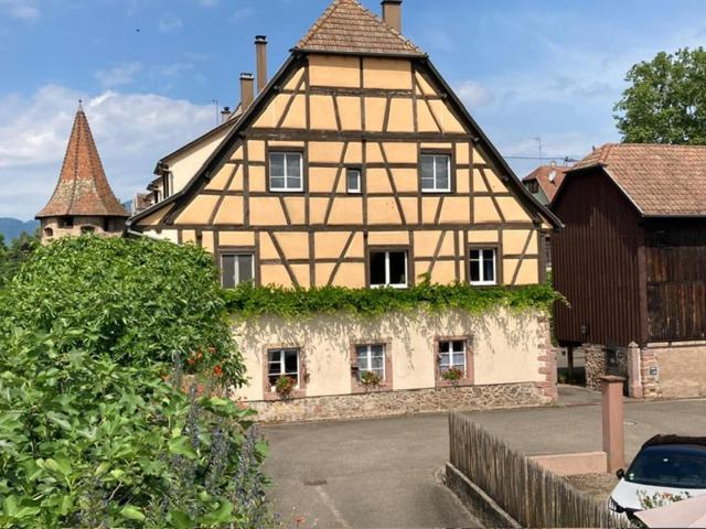 Joli Gite 2 Personnes En Alsace Guemar Экстерьер фото
