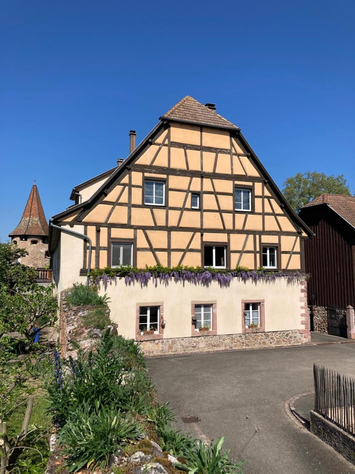 Joli Gite 2 Personnes En Alsace Guemar Экстерьер фото